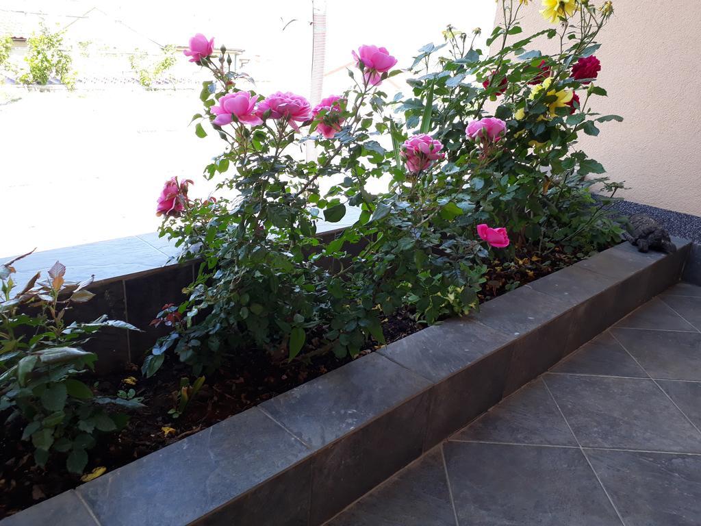 Apartments Jo Senj  Ngoại thất bức ảnh
